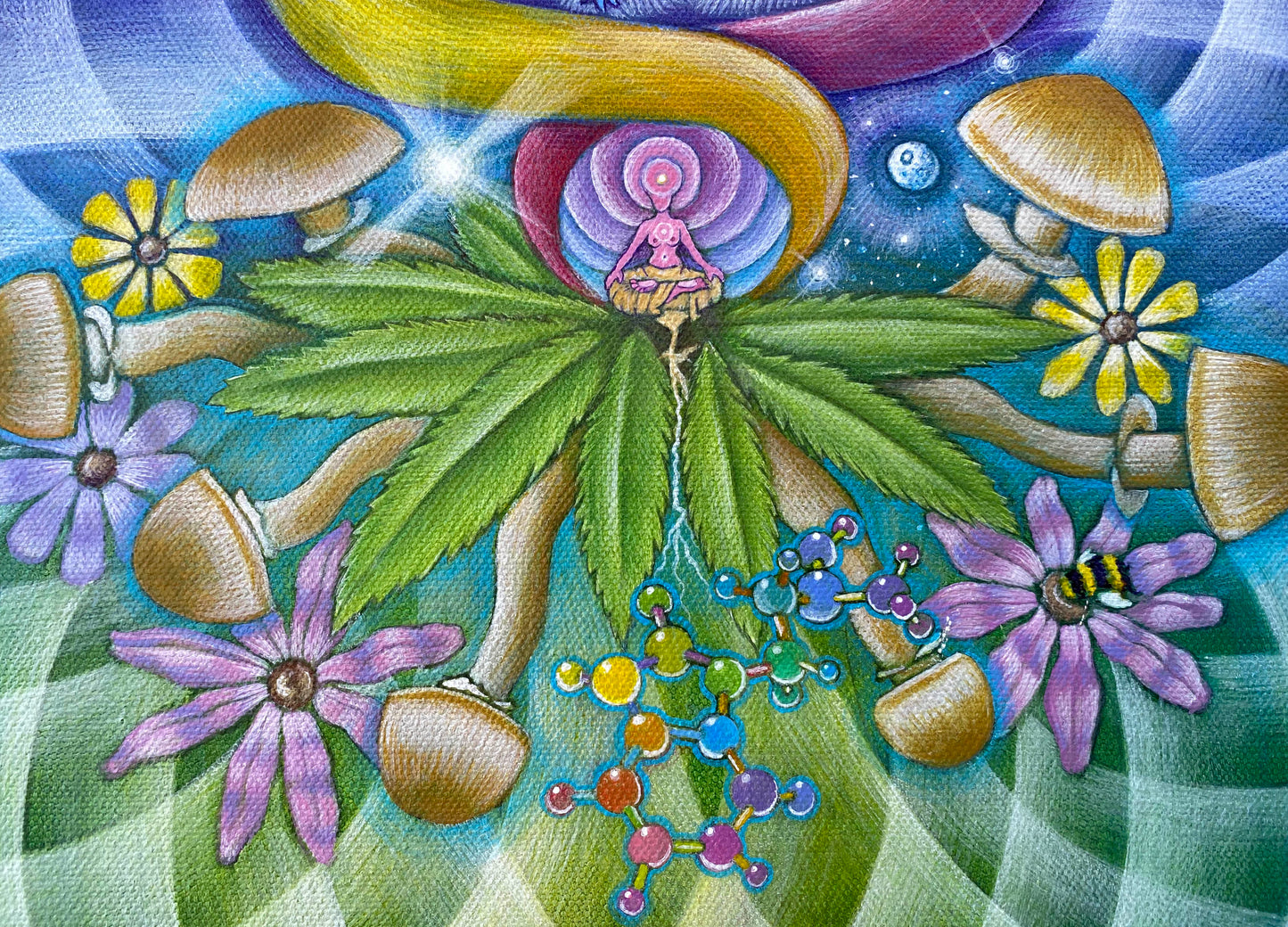 Medicine Signed Open Edition
